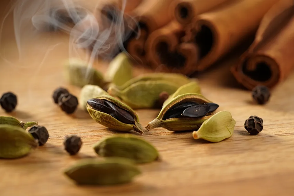 Macro photograph of cracked cardamom pods, peppercorns and cinnamon bark